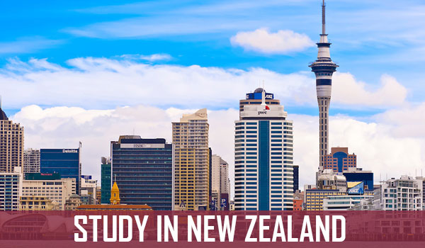 New Zealand Study Visa Jalandhar